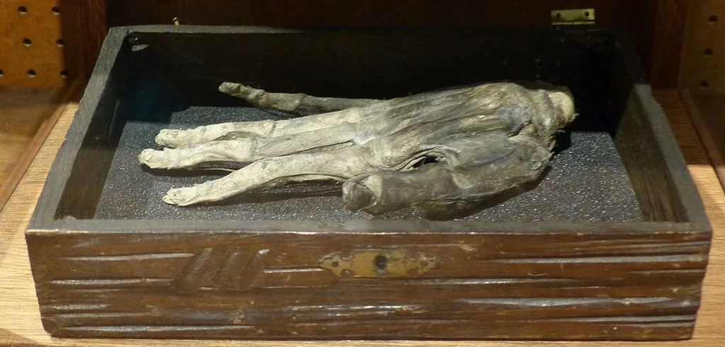 Halloween, Samhain, Ghosts, the Hand of Glory, and all things Gory Templarkey - Halloween, Samhain, Ghosts, the Hand of Glory, and all things Gory