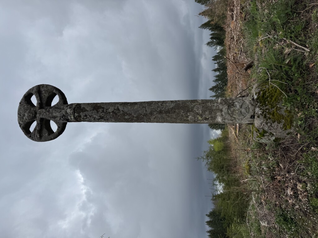 Knights Templar Discoid cross